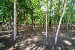 10 Cedar Ln, Medford, NY 11763 - Photo 11
