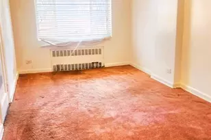 664 Remsen Ave, Brooklyn, NY 11236 - Photo 7