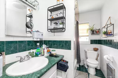 343 Roslyn Avenue, Carle Place, NY 11514 - Photo 9