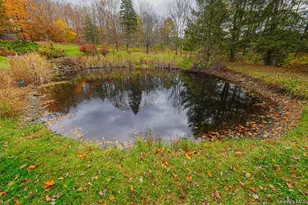333 Arcadia Rd, Goshen, NY 10924 - Photo 39