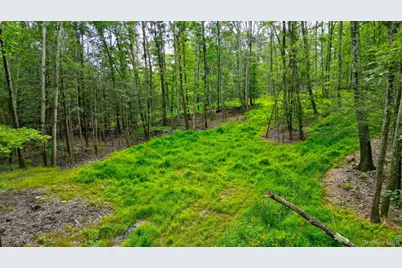 Lot 1 Pantelop Road, Bloomingburg, NY 12790 - Photo 5