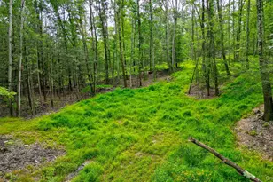 Lot 1 Pantelop Rd, Bloomingburg, NY 12790 - Photo 5