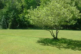 5 Riverside Dr, Roscoe, NY 12776 - Photo 5