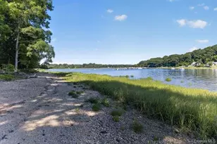 125 Horseshoe Rd, Mill Neck, NY 11765 - Photo 19