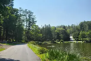 198 Pine Grove Rd, Bethel, NY 12720 - Photo 33