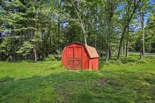 198 Pine Grove Rd, Bethel, NY 12720 - Photo 25