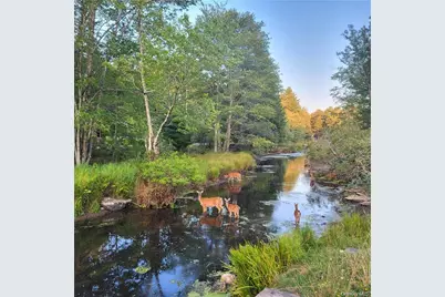 198 Pine Grove Road, Bethel, NY 12720 - Photo 27