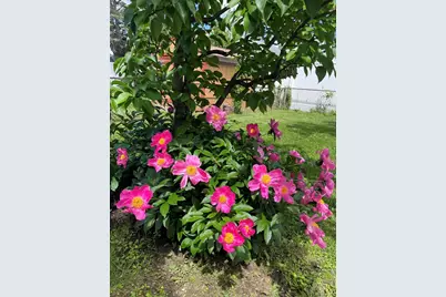47 Fendale Street, Franklin Square, NY 11010 - Photo 17