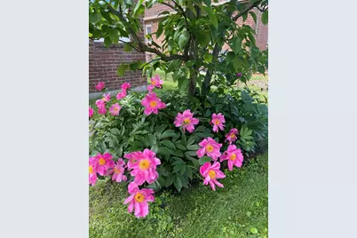 47 Fendale Street, Franklin Square, NY 11010 - Photo 21