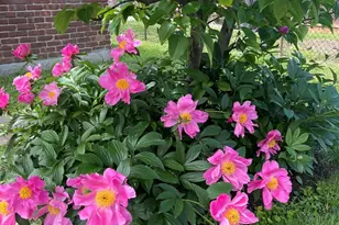 47 Fendale St, Franklin Square, NY 11010 - Photo 21