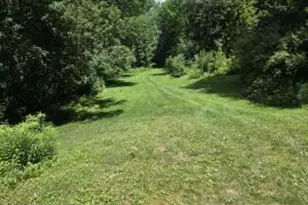 195 Haynes Hollow, Arkville, NY 12406 - Photo 25