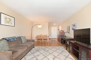 2 Birchwood Ct, Mineola, NY 11501 - Photo 3