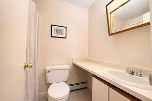 3 Water Lilly Ln, Monticello, NY 12701 - Photo 7
