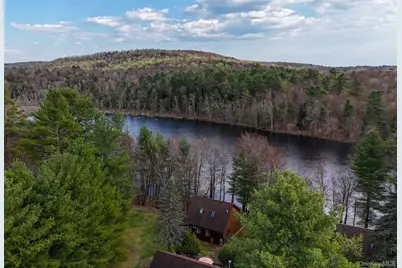 3 Water Lilly Lane, Monticello, NY 12701 - Photo 21