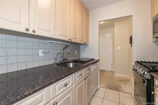 185 Middle Neck S, Great Neck, NY 11021 - Photo 11