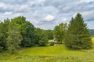 332 Bernas Rd, Cochecton Center, NY 12726 - Photo 27