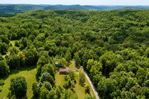 624 Co Rd 93, Roscoe, NY 12776 - Photo 23