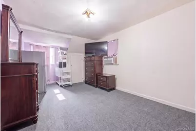 27 Hapsburg Place, Hempstead, NY 11550 - Photo 11