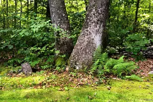 30 Old East Rd, Wallkill, NY 12589 - Photo 9