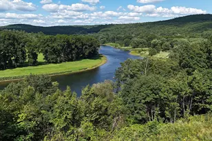 201 Co Rd 114, Cochecton Center, NY 12726 - Photo 49