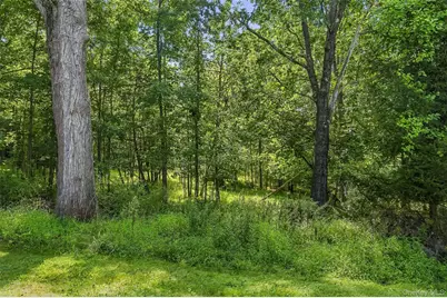 35 Cunningham, Monroe, NY 10950 - Photo 45