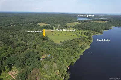 74 Oxford Drive, White Lake, NY 12786 - Photo 5