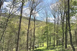 494 Doyle Rd, Roscoe, NY 12776 - Photo 25