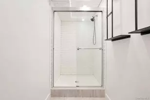 425 Barbey St, Brooklyn, NY 11207 - Photo 35
