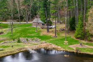 10 Stag Forest Rd, Forestburgh, NY 12777 - Photo 37