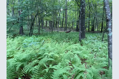 85 Bella Vista Road, Amenia, NY 12501 - Photo 9