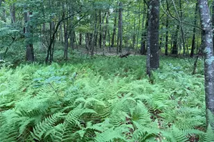 85 Bella Vista Rd, Amenia, NY 12501 - Photo 9