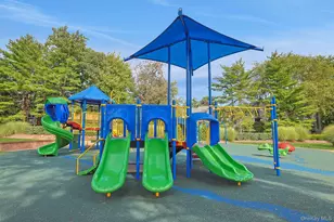 195 Treetop Cir, Nanuet, NY 10954 - Photo 33