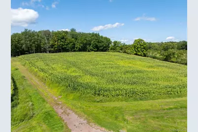 21 Hans Fischer Road, Bethel, NY 12726 - Photo 35