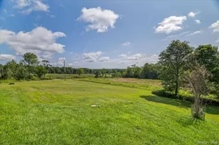 21 Hans Fischer Rd, Bethel, NY 12726 - Photo 33