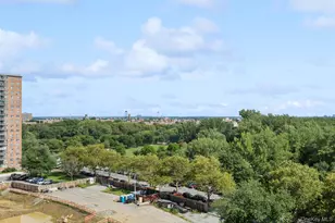 820 Boynton Ave, Bronx, NY 10473 - Photo 13