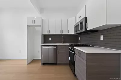 663 Macdonough Street, Brooklyn, NY 11233 - Photo 21