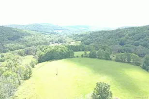 19 Frelich Rd, Long Eddy, NY 12760 - Photo 3