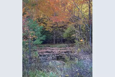 231 Manorville Road, Saugerties, NY 12477 - Photo 37