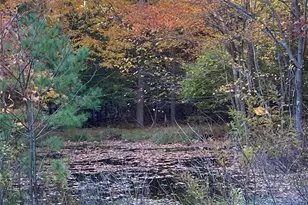 231 Manorville Rd, Saugerties, NY 12477 - Photo 37