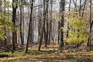 39A Laurelton Rd, Mount Kisco, NY 10549 - Photo 9