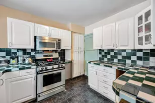 13 Crystal St, Elmont, NY 11003 - Photo 11