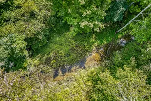 25 Terra Rd, Saugerties, NY 12477 - Photo 29