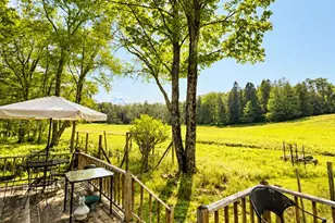 17 Gold Dan Rd, Swan Lake, NY 12783 - Photo 41