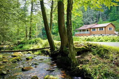 283 Pepacton Hollow Road, Grahamsville, NY 12740 - Photo 1