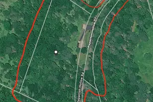 283 Pepacton Hollow Rd, Grahamsville, NY 12740 - Photo 47