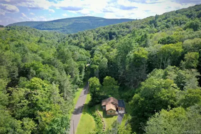 283 Pepacton Hollow Road, Grahamsville, NY 12740 - Photo 3
