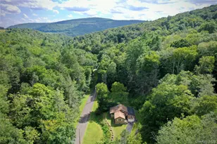 283 Pepacton Hollow Rd, Grahamsville, NY 12740 - Photo 3