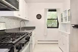 100 Clinton Ave, Mineola, NY 11501 - Photo 11