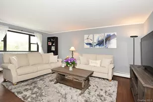 100 Clinton Ave, Mineola, NY 11501 - Photo 3