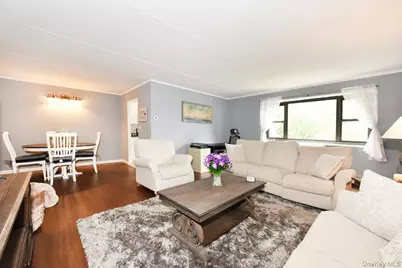 100 Clinton Avenue #4N, Mineola, NY 11501 - Photo 7